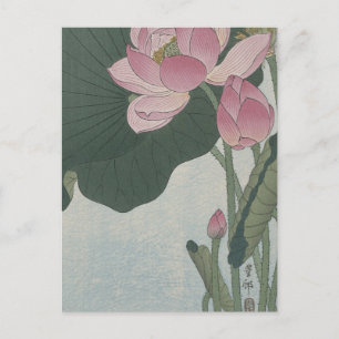 Blooming Lotus Flowers by Ohara Koson Postcard