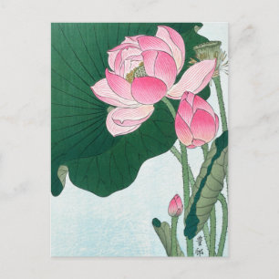 Blooming Lotus Flowers, Koson, Japanese Flower Art Postcard
