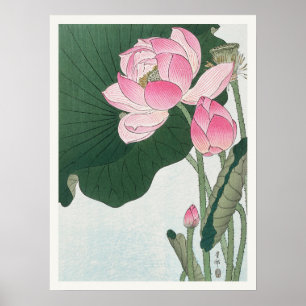 Blooming Lotus Flowers Ohara Koson Japanese Art Poster