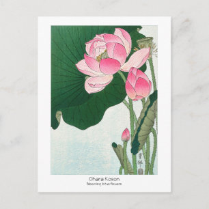 Blooming lotus flowers - Ohara Koson - VintageArt Postcard