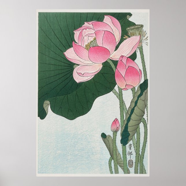 Blooming Lotus Flowers Poster (Front)