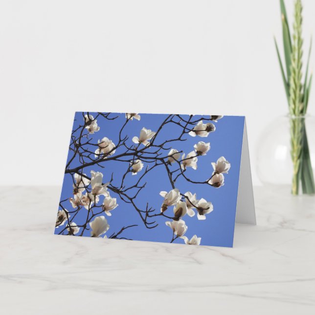 Blooming Magnolias Card (Front)