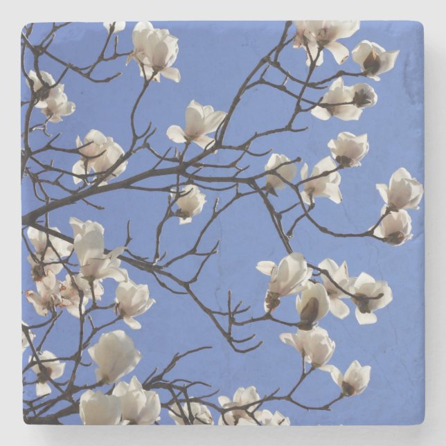 Blooming Magnolias Stone Coaster (Front)