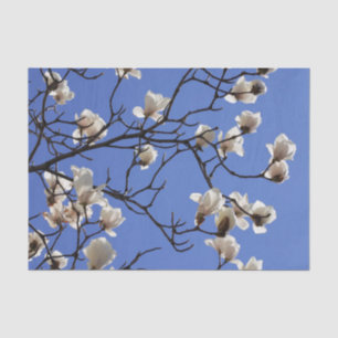 Blooming Magnolias Tissue Paper