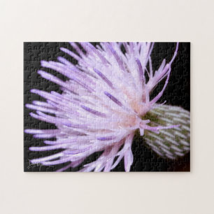 Blooming Nuttall Thistle Jigsaw Puzzle