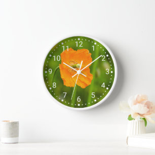 Blooming Orange Poppy Flower Photo On Green Clock