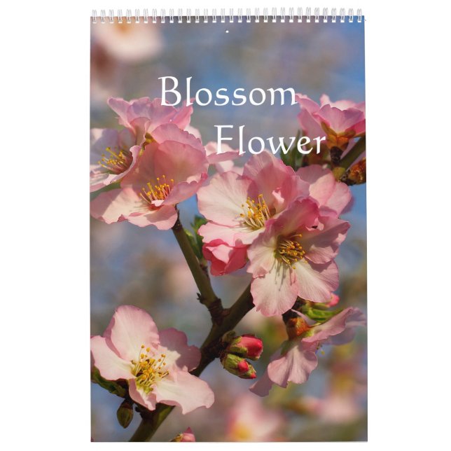 Blooming peach and cherry calendar 2025 (Cover)