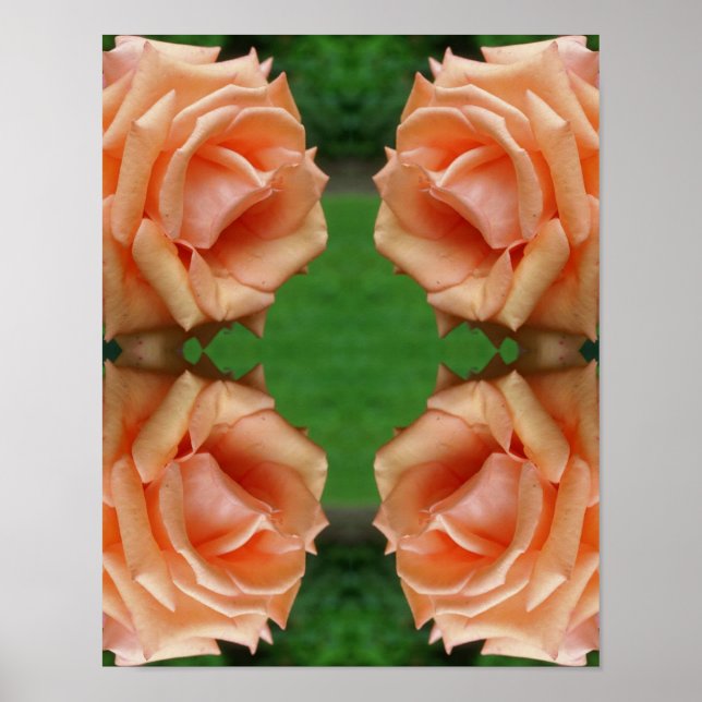 Blooming Peach Rose Abstract  Poster (Front)