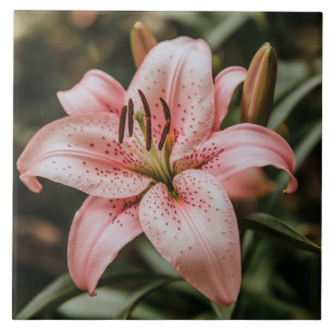 Blooming Pink Lily Ceramic Tile