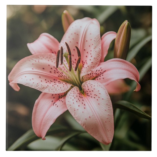 Blooming Pink Lily Ceramic Tile (Front)