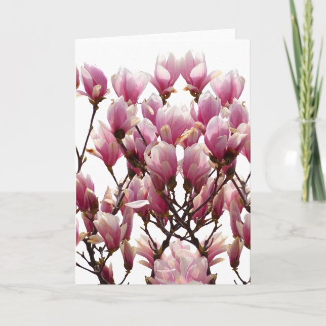 Blooming Pink Magnolias Spring Flower Card (Front)
