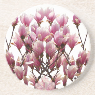 Blooming Pink Magnolias Spring Flower Coaster