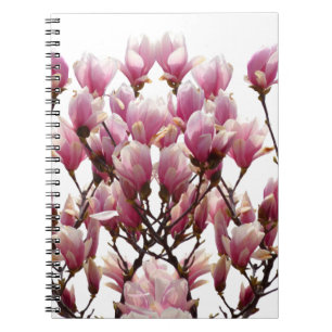 Blooming Pink Magnolias Spring Flower Notebook