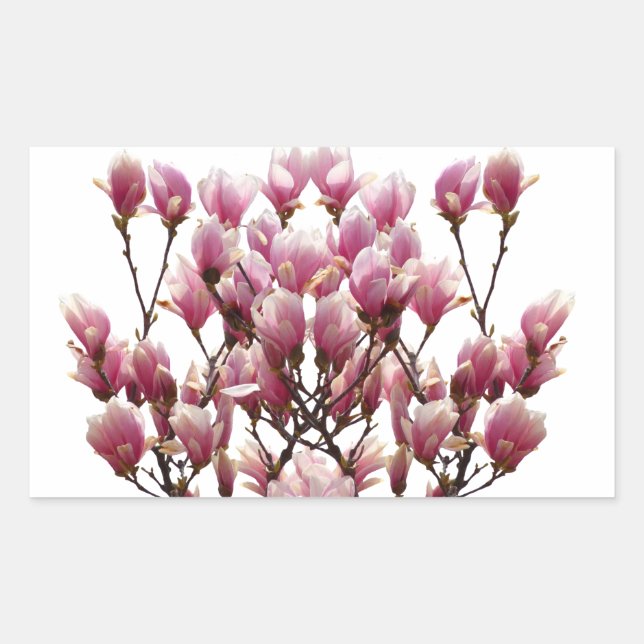 Blooming Pink Magnolias Spring Flower Rectangular Sticker (Front)