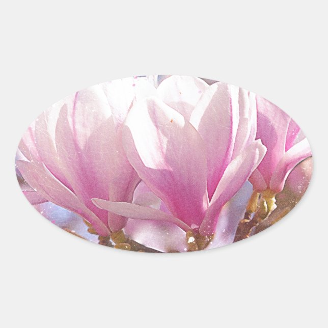 Blooming Pink Purple Magnolia - Spring Flower Oval Sticker (Front)