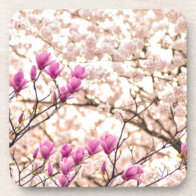 Blooming Pink Purple Magnolias Spring Flower Coaster (Front)
