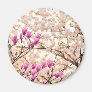 Blooming Pink Purple Magnolias Spring Flower Magnet