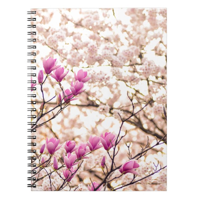 Blooming Pink Purple Magnolias Spring Flower Notebook (Front)