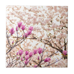 Blooming Pink Purple Magnolias Spring Flower Tile
