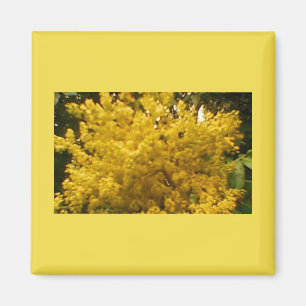 Blooming Pollen Magnet