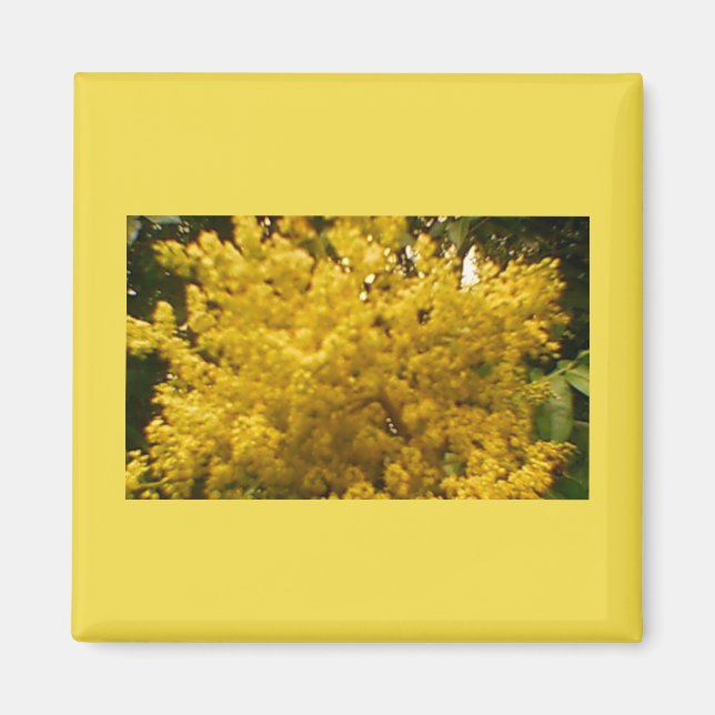 Blooming Pollen Magnet (Front)