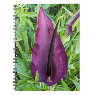 Blooming Purple Dragon Lily Floral Notebook