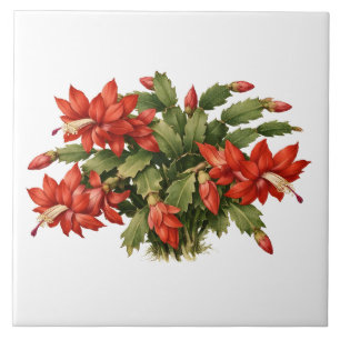 Blooming Red Christmas Cactus Plant Ceramic Tile