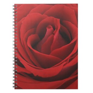 Blooming Red Rose Notebook