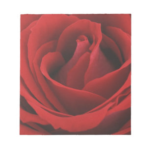 Blooming Red Rose Notepad
