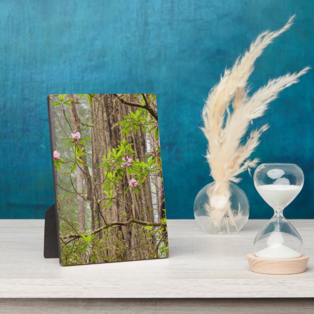 Blooming Rhododendrons | Redwoods State Park,CA Plaque (Side)