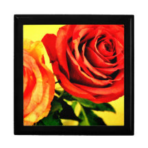Blooming Roses