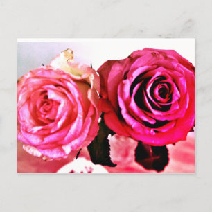 Blooming Roses Invitation Postcard