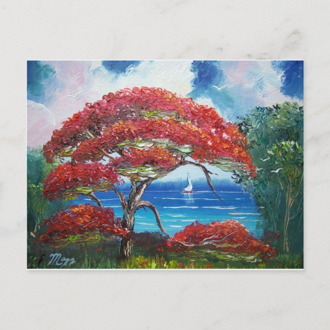 Blooming Royal Poinciana Tree and Sailboat Postcard (Front)