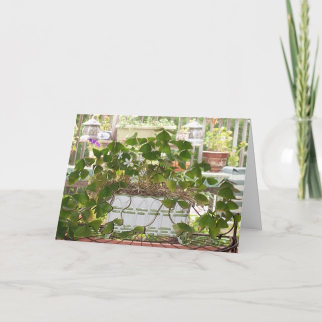 Blooming Shamrocks Card (Front)