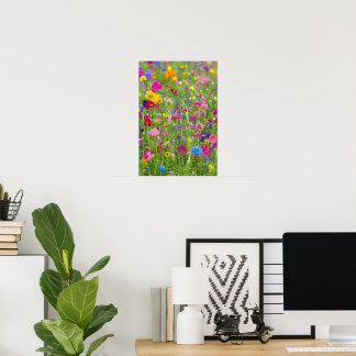 Blooming spring meadow beautiful view poster