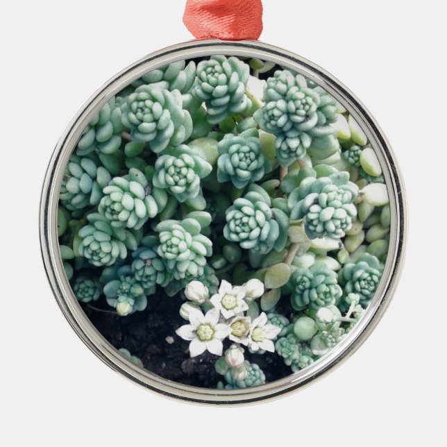 Blooming Succulent Plant Metal Ornament (Front)