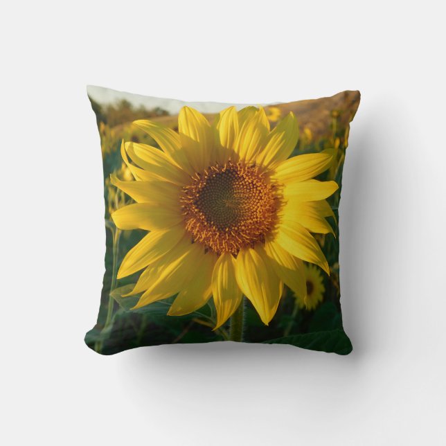 Blooming Sunflower Pillow (Front)