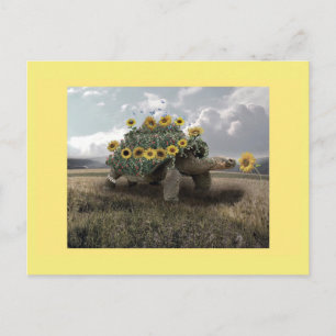 Blooming Sunflower Turtle Postcard