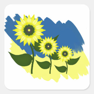 Blooming sunflowers and Ukrainian flag. Square Sticker