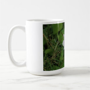 Blooming Water Hyacinth - Tropical Aquatic Flower  Coffee Mug