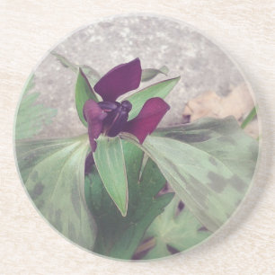 Blooming Wildflower Coaster