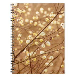 Blooming willow branches in springtime, seasonal v notebook