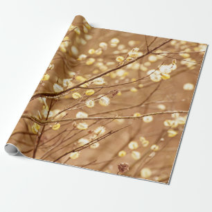 Blooming willow branches in springtime, seasonal v wrapping paper