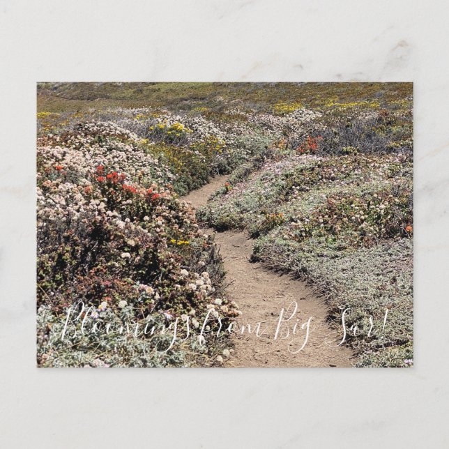 Bloomings from Big Sur! Postcard (Front)