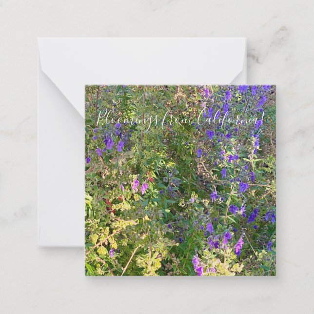 Bloomings from California: Blue Curls Card (Front)