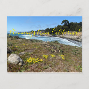 Bloomings from California:  Footsteps... Postcard