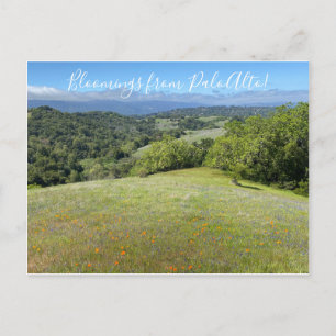 Bloomings from Palo Alto! Postcard