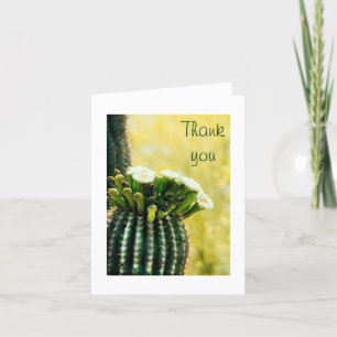 blooms of a Saguaro thank you card