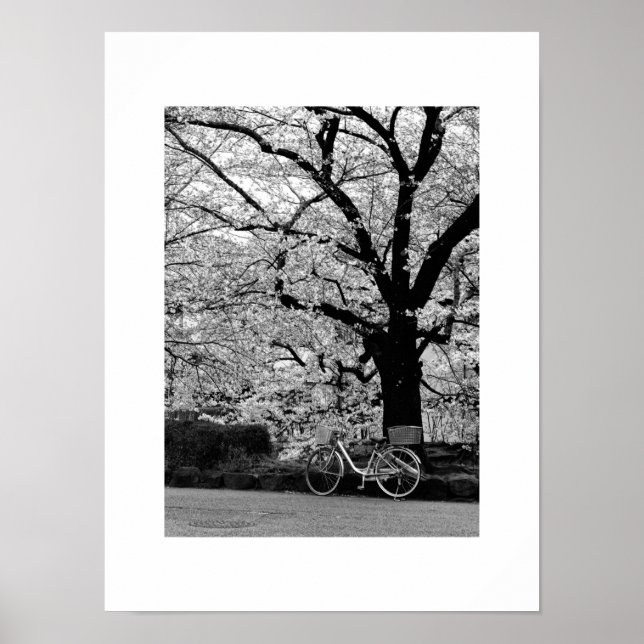 Blossom & Bicycle: Japan Poster (Front)