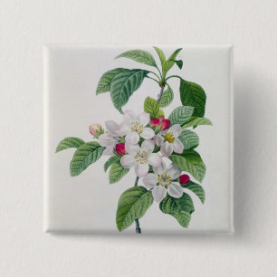 Blossom, from 'Les Choix des Plus Belles 15 Cm Square Badge